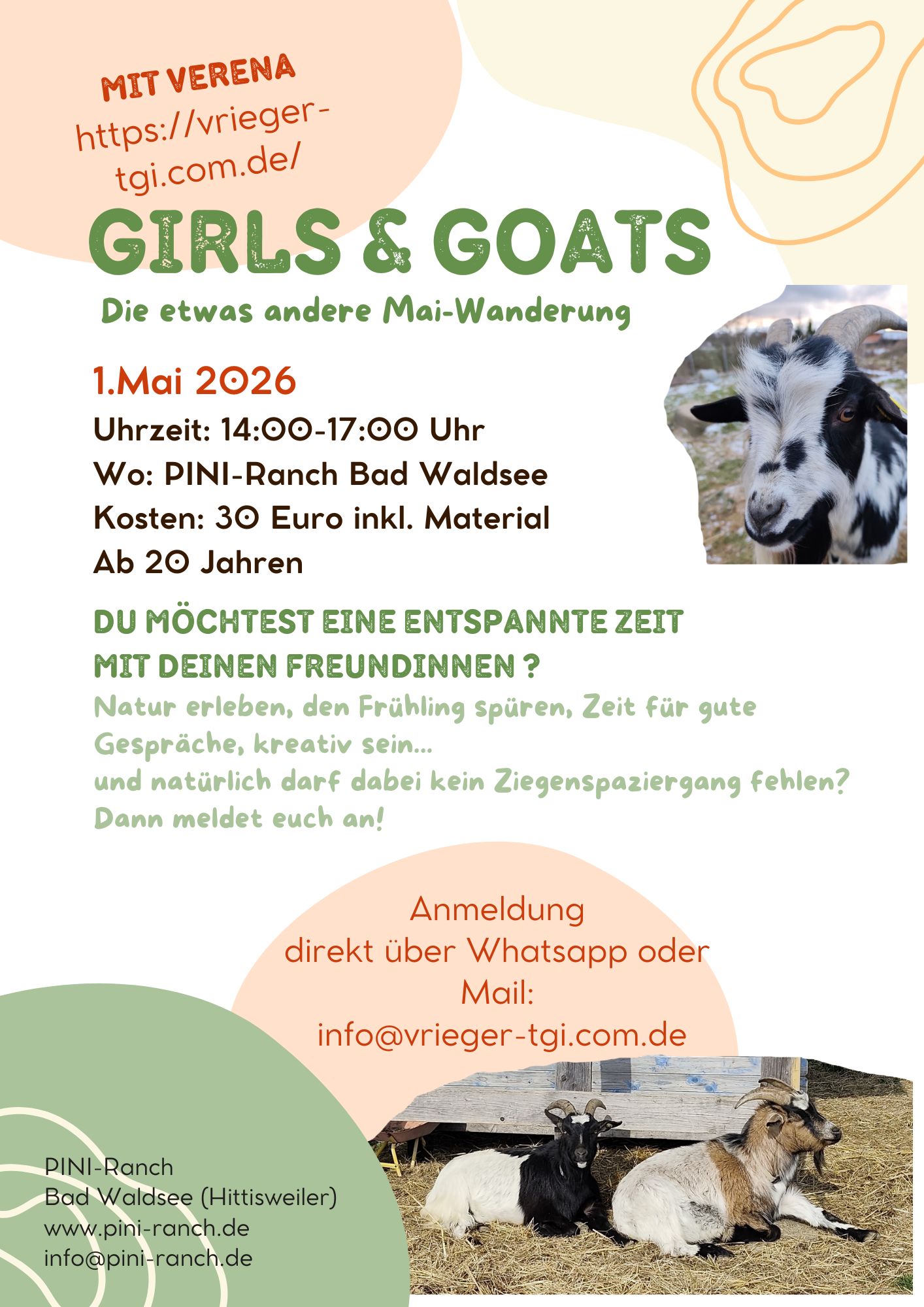Flyer Meine Angebote